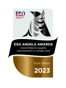 WSO Angels Awards Gold Status 2023